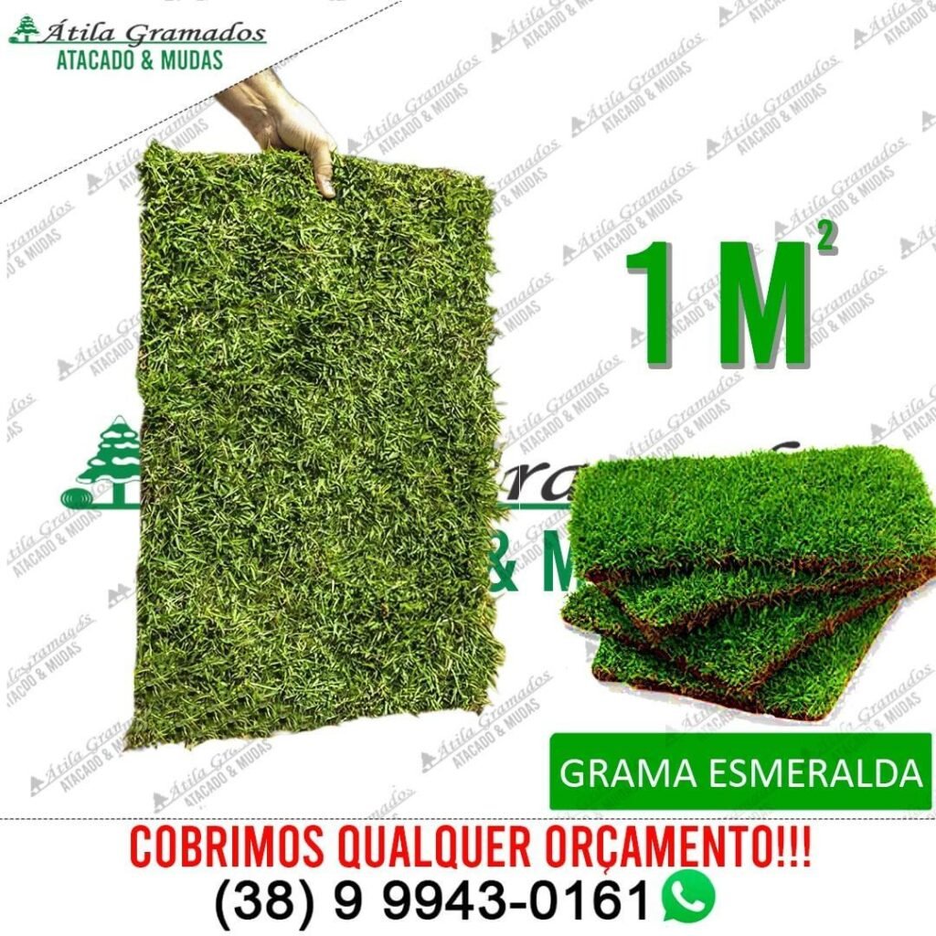 GRAMA ESMERALDA